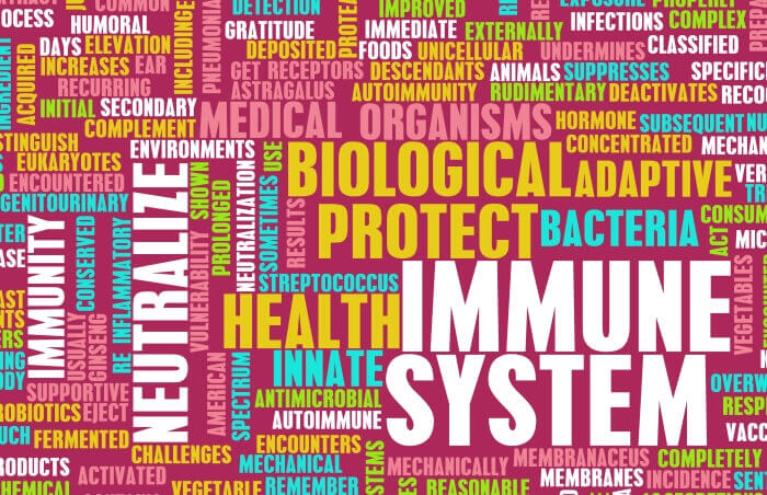 Immune System, Immunity, Antimicrobial written on a Creative.