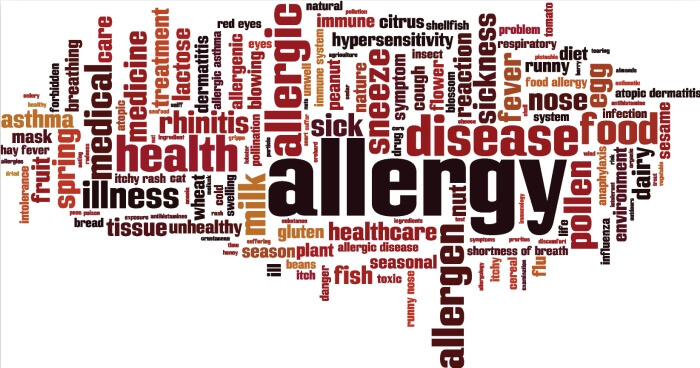 Allergy, Antimicrobial word cloud concept. Vector illustration. Creative image.